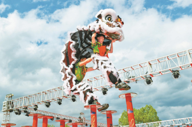 Dragon dance and lion dance championship held