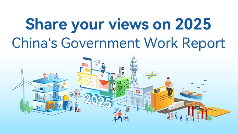 share your views on 2025 China's government work report